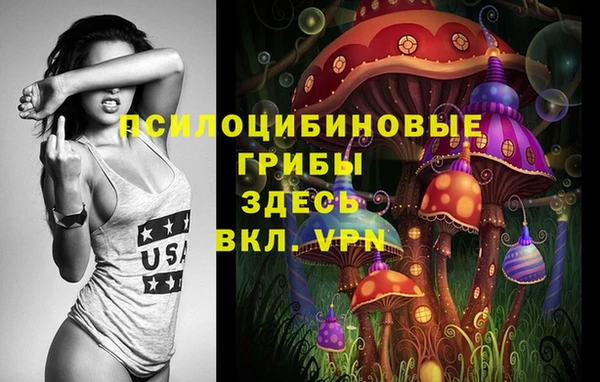 СК Карпинск