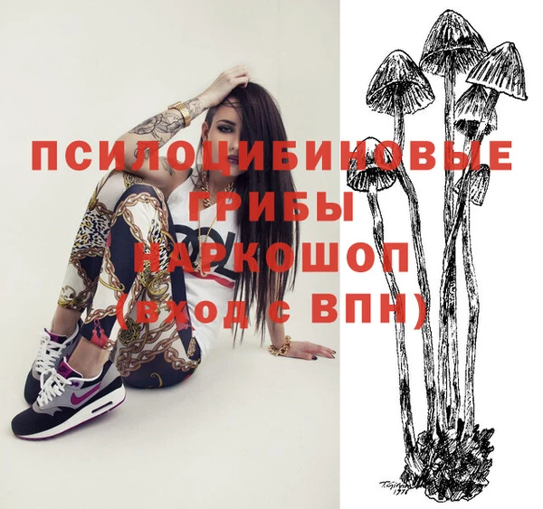 spice Карталы