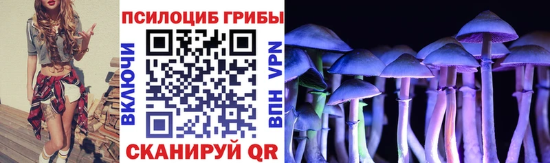 Купить  Заводоуковск  Псилоцибиновые грибы Cubensis 